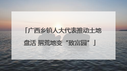 广西乡镇人大代表推动土地盘活 撂荒地变“致富园”