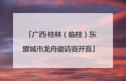 广西·桂林（临桂）东盟城市龙舟邀请赛开赛