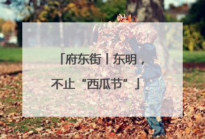 府东街丨东明，不止“西瓜节”