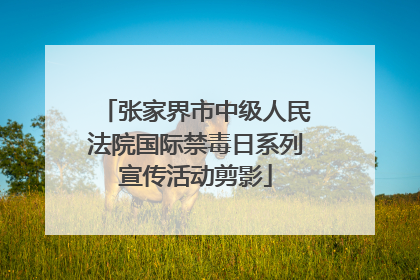 张家界市中级人民法院国际禁毒日系列宣传活动剪影