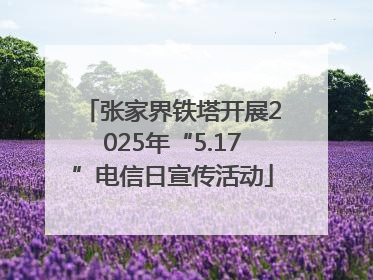 张家界铁塔开展2025年“5.17”电信日宣传活动