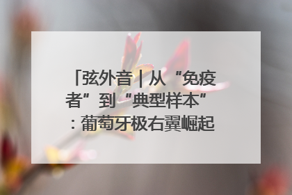 弦外音｜从“免疫者”到“典型样本”：葡萄牙极右翼崛起背后的欧洲困局