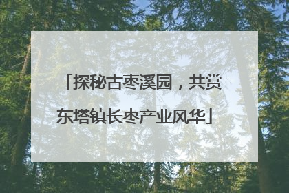 探秘古枣溪园，共赏东塔镇长枣产业风华