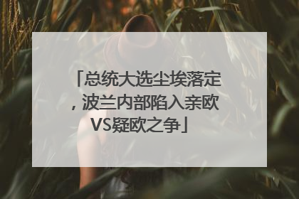 总统大选尘埃落定，波兰内部陷入亲欧VS疑欧之争