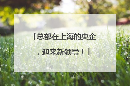 总部在上海的央企，迎来新领导！