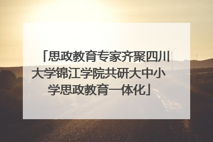 思政教育专家齐聚四川大学锦江学院共研大中小学思政教育一体化