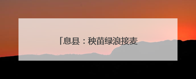 息县：秧苗绿浪接麦浪 科技赋能抢农时
