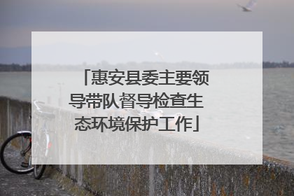 惠安县委主要领导带队督导检查生态环境保护工作