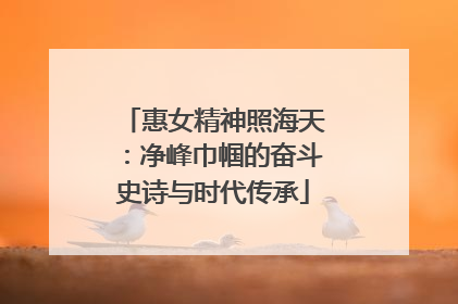 惠女精神照海天：净峰巾帼的奋斗史诗与时代传承