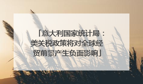 意大利国家统计局：美关税政策将对全球经贸前景产生负面影响