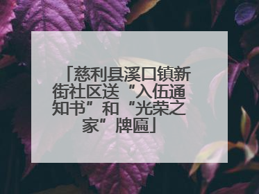 慈利县溪口镇新街社区送“入伍通知书”和“光荣之家”牌匾