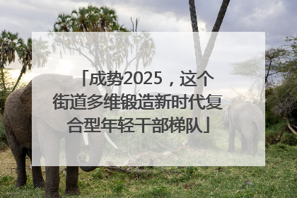 成势2025，这个街道多维锻造新时代复合型年轻干部梯队