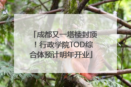 成都又一塔楼封顶！行政学院TOD综合体预计明年开业