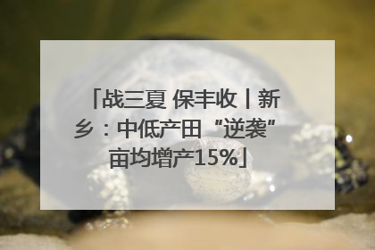 战三夏 保丰收丨新乡：中低产田“逆袭” 亩均增产15%