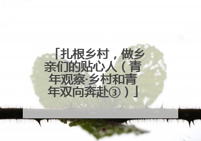 扎根乡村，做乡亲们的贴心人（青年观察·乡村和青年双向奔赴③）