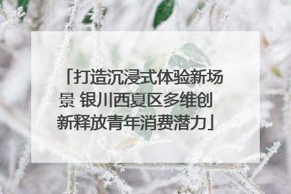 打造沉浸式体验新场景 银川西夏区多维创新释放青年消费潜力