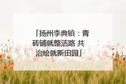扬州李典镇：青砖铺就整洁路 共治绘就新田园