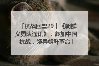抗战回望29︱《朝鲜义勇队通讯》：参加中国抗战，领导朝鲜革命
