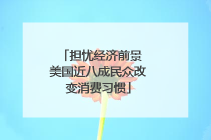 担忧经济前景 美国近八成民众改变消费习惯