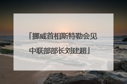 挪威首相斯特勒会见中联部部长刘建超