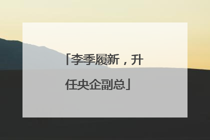 李季履新，升任央企副总
