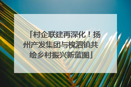 村企联建再深化！扬州产发集团与槐泗镇共绘乡村振兴新蓝图