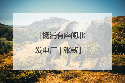 杨浦有座闸北发电厂｜张新