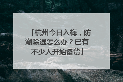 杭州今日入梅，防潮除湿怎么办？已有不少人开始备货