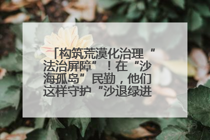构筑荒漠化治理“法治屏障”！在“沙海孤岛”民勤，他们这样守护“沙退绿进”的生态奇迹