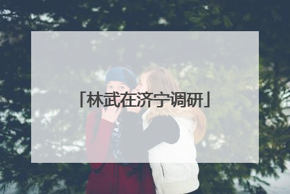林武在济宁调研