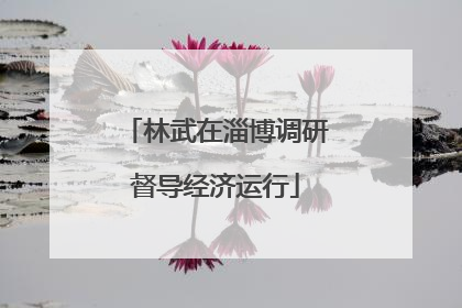 林武在淄博调研督导经济运行