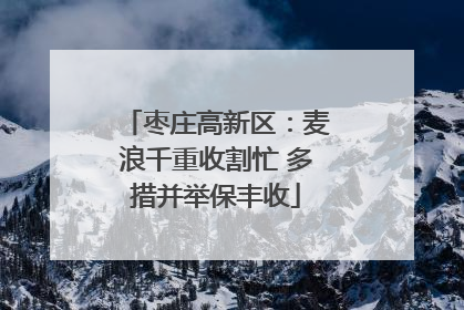 枣庄高新区：麦浪千重收割忙 多措并举保丰收
