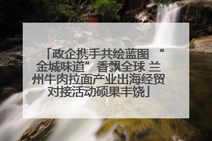 政企携手共绘蓝图 “金城味道”香飘全球 兰州牛肉拉面产业出海经贸对接活动硕果丰饶