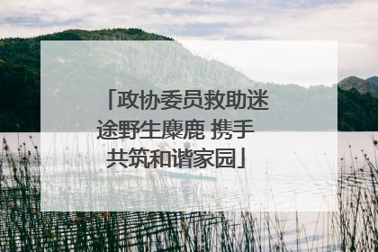 政协委员救助迷途野生麋鹿 携手共筑和谐家园
