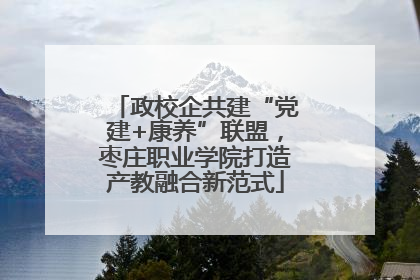政校企共建“党建+康养”联盟，枣庄职业学院打造产教融合新范式