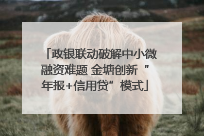 政银联动破解中小微融资难题 金塘创新“年报+信用贷”模式