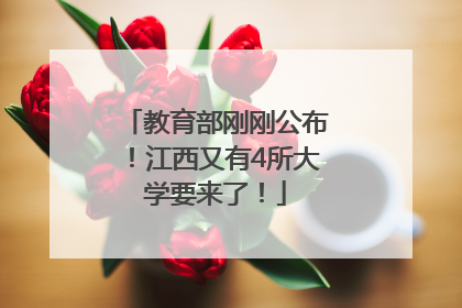 教育部刚刚公布！江西又有4所大学要来了！