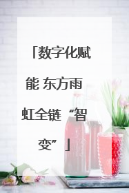 数字化赋能 东方雨虹全链“智变”
