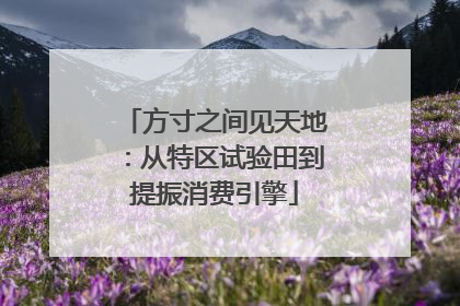 方寸之间见天地：从特区试验田到提振消费引擎