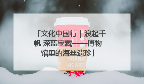 文化中国行｜浪起千帆 深蓝宝藏——博物馆里的海丝遗珍
