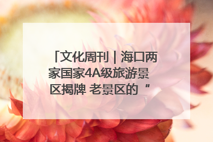 文化周刊｜海口两家国家4A级旅游景区揭牌 老景区的“焕新”密码