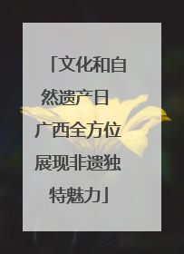 文化和自然遗产日 广西全方位展现非遗独特魅力