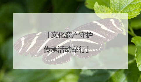 文化遗产守护传承活动举行