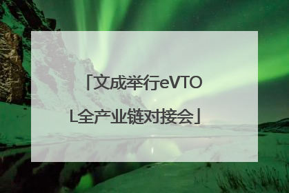 文成举行eVTOL全产业链对接会