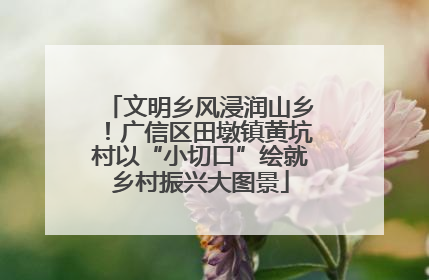 文明乡风浸润山乡！广信区田墩镇黄坑村以“小切口”绘就乡村振兴大图景