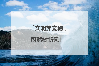 文明养宠物，蔚然树新风