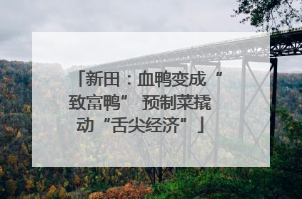 新田：血鸭变成“致富鸭” 预制菜撬动“舌尖经济”