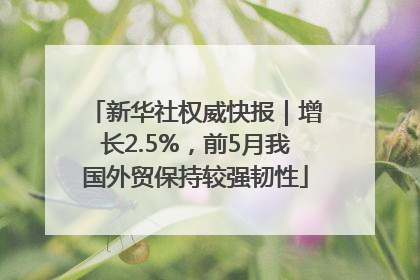 新华社权威快报｜增长2.5%，前5月我国外贸保持较强韧性