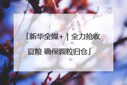 新华全媒+｜全力抢收夏粮 确保颗粒归仓