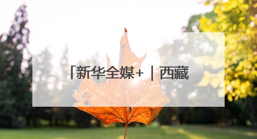新华全媒+｜西藏：黑颈鹤家族高原湿地喜添“萌宝”
